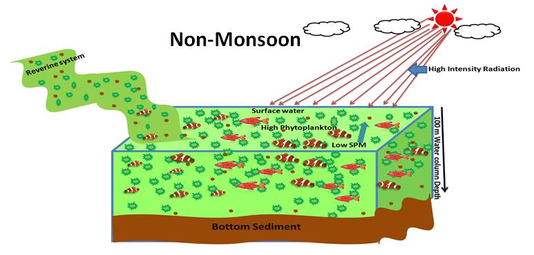 Food Sources of Bioavailable Organic Compounds (Carbohydrates , Proteins) to Four Different Types of Fishes in Coastal Waters of Visakhapatnam, East Coast of India