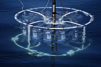 Chemical Oceanography and the Ocean's Central Investigations