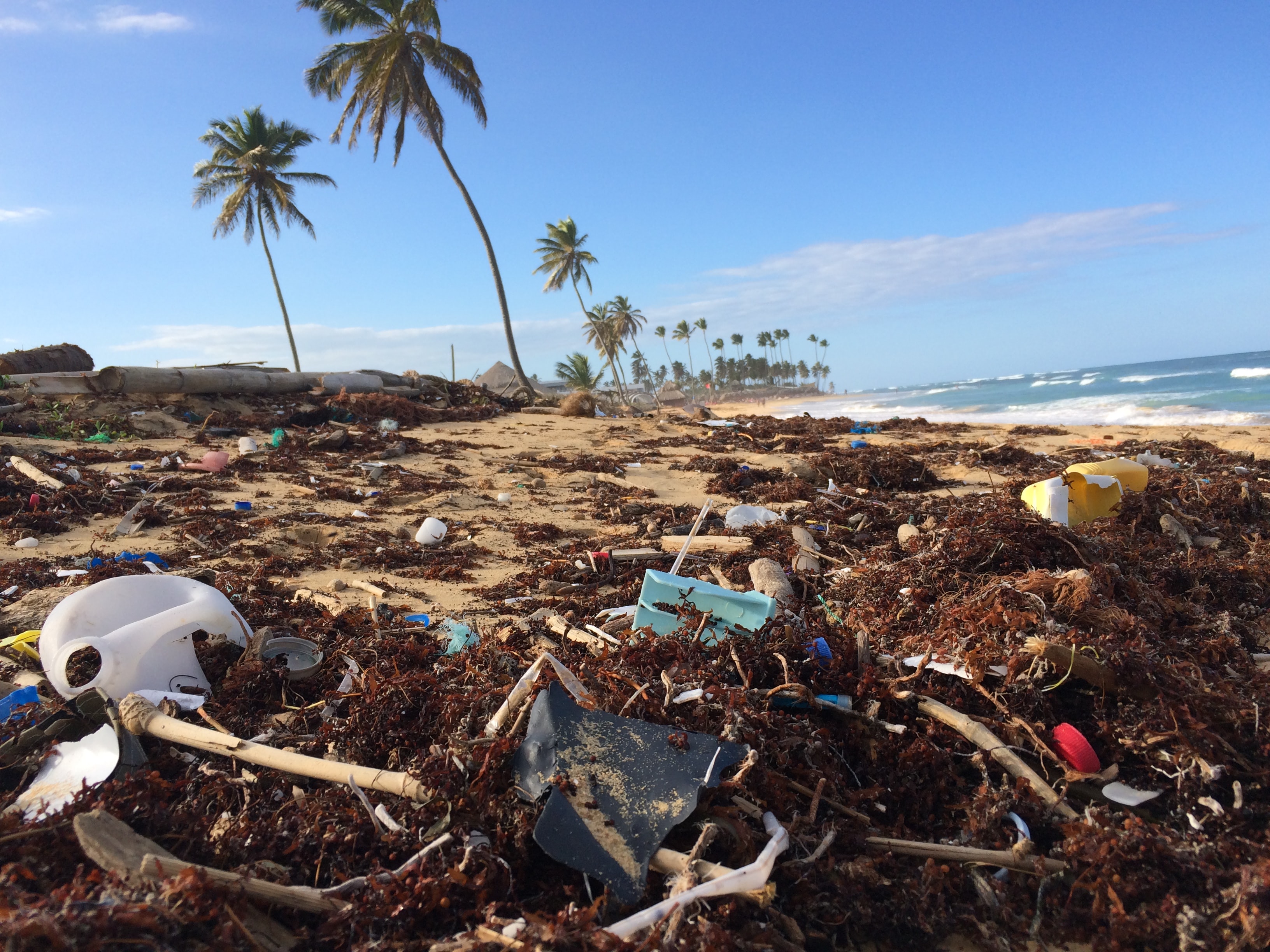 Marine Bacteria Potential for Biodegradation of Plastic Wastes