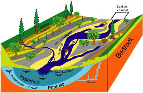 Riparian Communities in the Energy Flow of Subtropical Stream