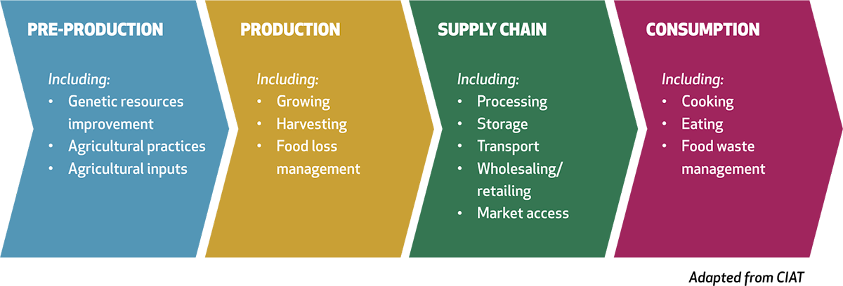 Institutional supply, market cultivation, and the development