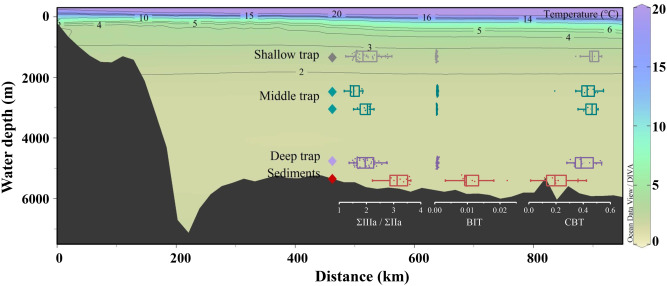 Global scale production of GDGTs by benthic marine bacteria