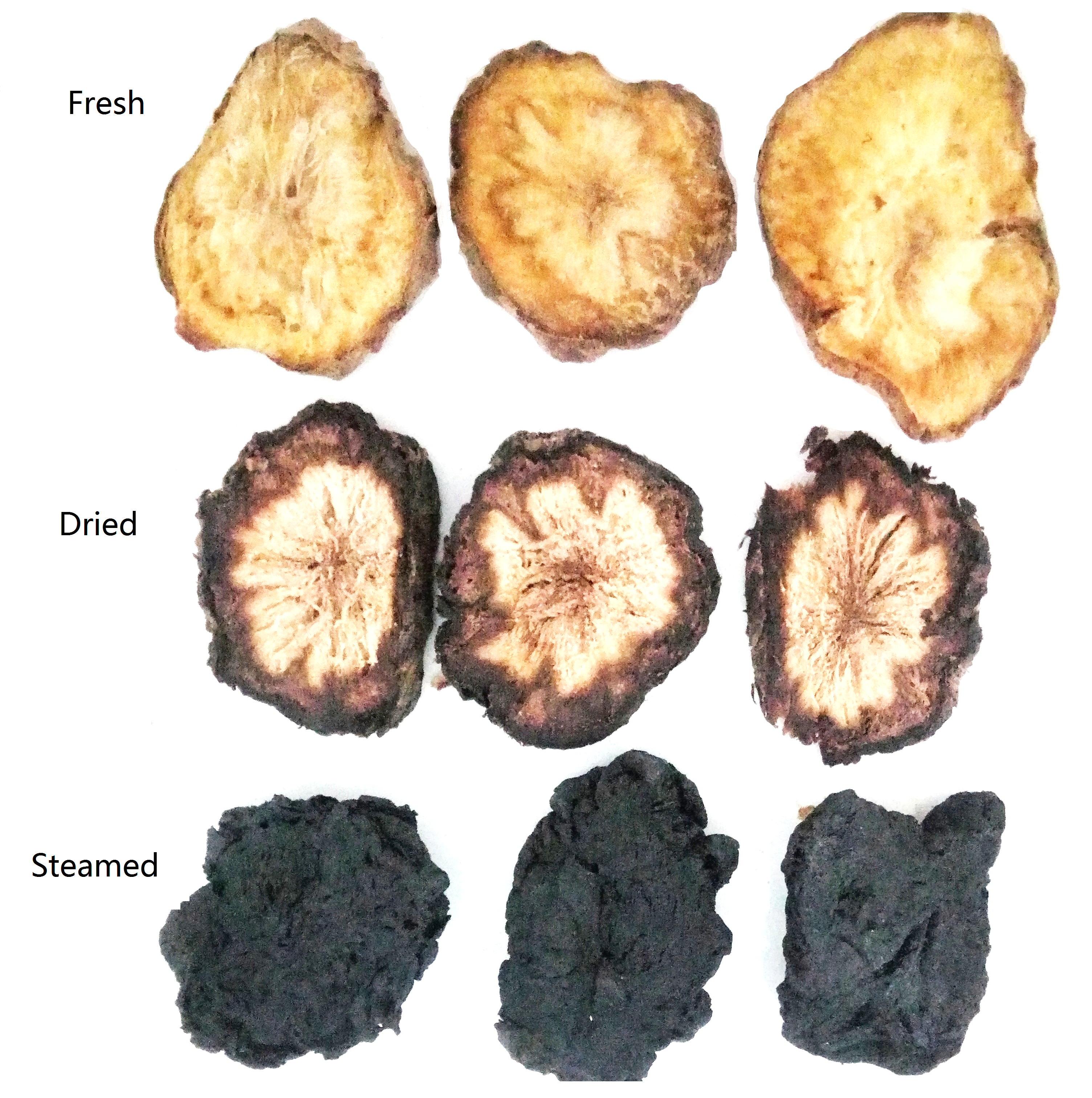 Effects of Differently Processed Rehmannia Roots on Dexamethasone-induced Side Effects in Rats