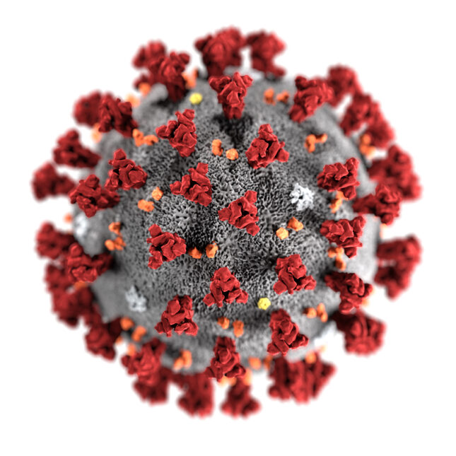 Quantum Phases and Chern-Simons Geometrics for the Generation of a Ligand Targeting COVID-19-SARS-COV-2 SPIKE D614G Binding Sites