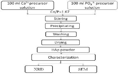 Study of the Dependency of pH Values on HAp Synthesis