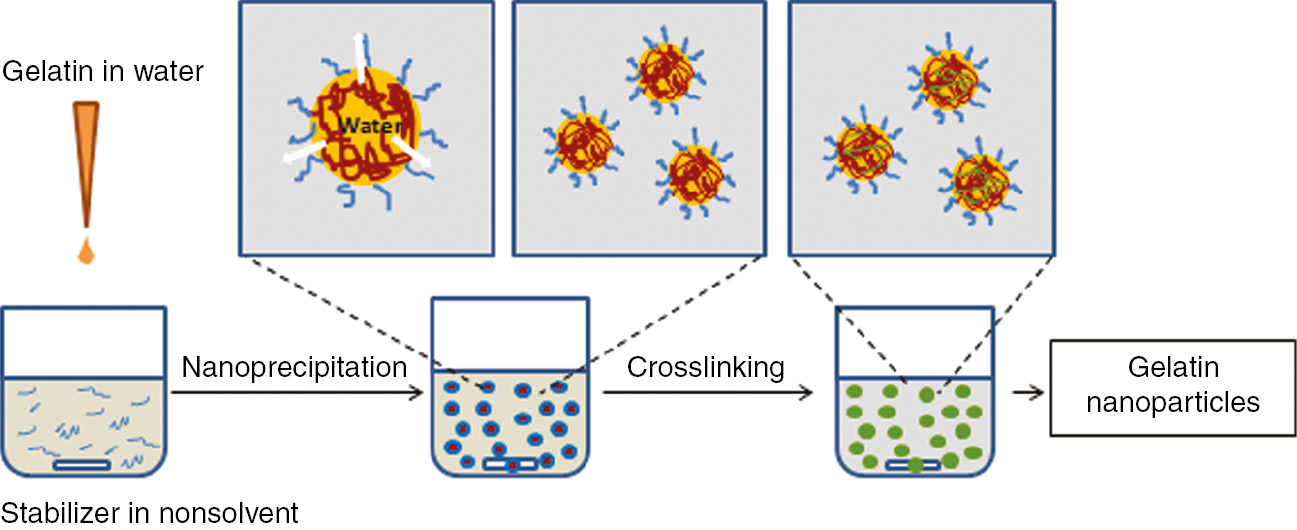 Simple and Customizable Gelatin Nanoparticle Encapsulation System for Biomedical Applications