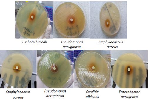 Nanostructured Calcium Phosphate Dihydrate- Glutaraldehyde Complex as an Innovative Biocidal Film for Anti Sars-Cov-2 Protection of Inanimate Surfaces, Air and a Water Sanitization