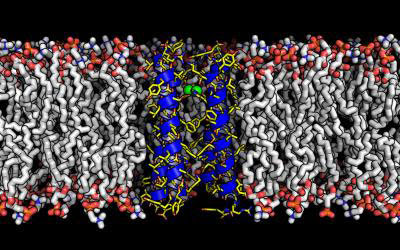 Synthesis and Characterization of Titania Nanotubes on Titanium alloy IMI 834 by Electrochemical Anodization Process