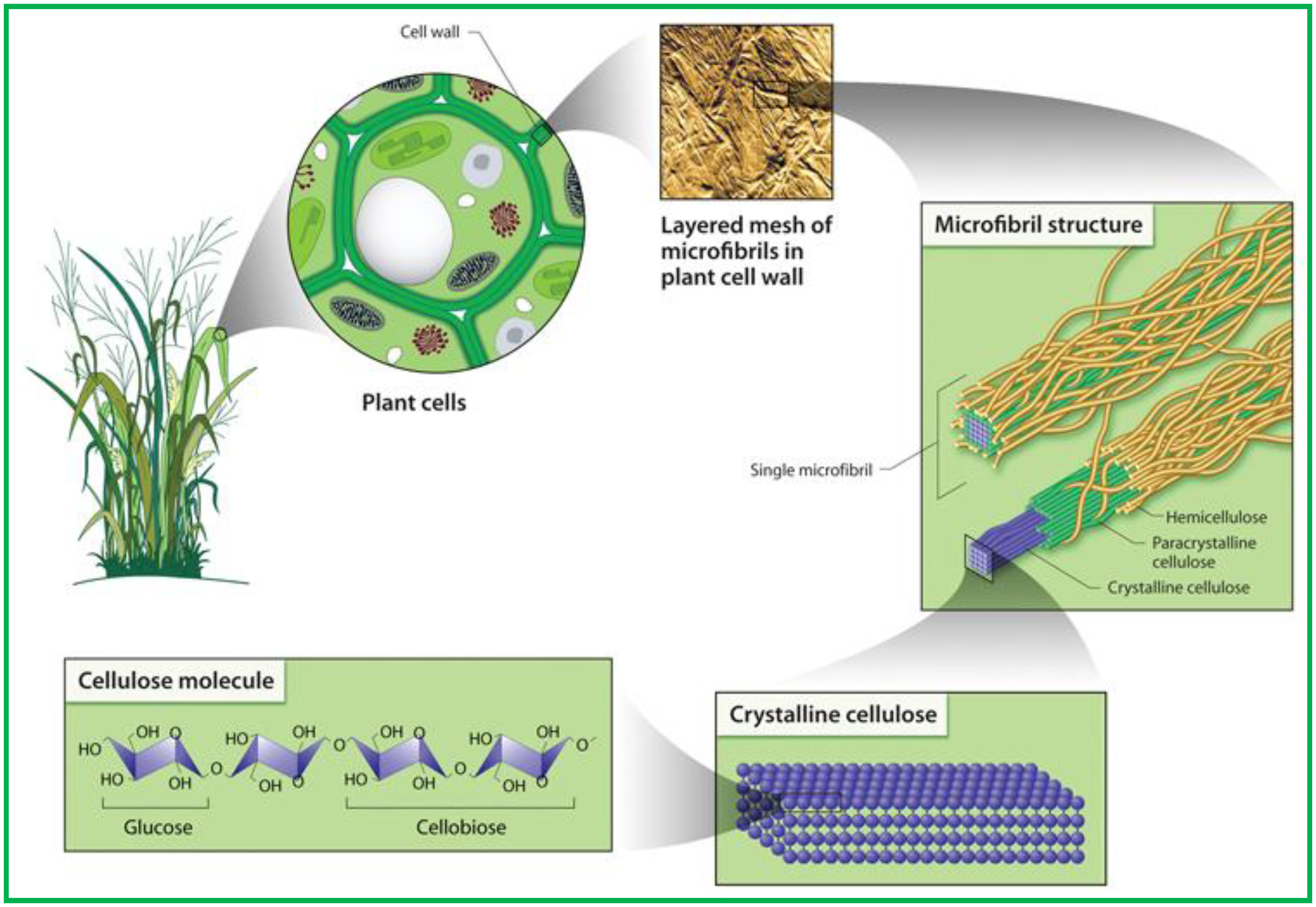 Synthesis and Application of Poly Bionanocomposites Reinforced With Natural Fibres