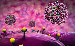 Macrophage Cells Secrete Specific Cytokines and Accumulate Activated Interferon
Regulatory Factor 3 after Multi-Walled Carbon Nanotube Exposure