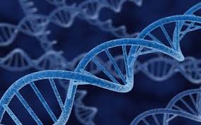 The Green Synthesized Nanosilver and their Effects on the Multidrug Resistant Bacteria Ribosomal DNA