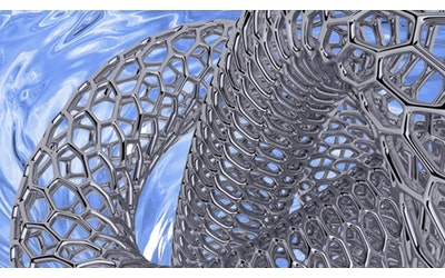 The Brain Cells on the Carbon Nanotubes: Morphological and Functional Changes in Neurons and Glia