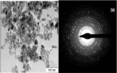 Gas Sensing Properties of MoO3: NiO Nanocomposite Functionalized with Noble Metal towards Carbon Dioxide (CO2)