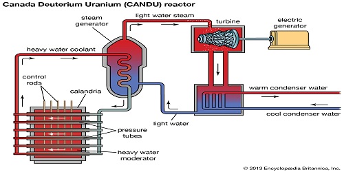 Liquid Metal Cooled Nuclear Power Plants: A Brief Review