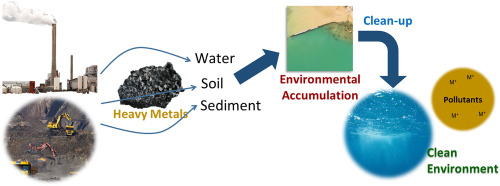 Overview of environmental pollution and clean management of heavy metals and radionuclides by using micro crystalline cellulose