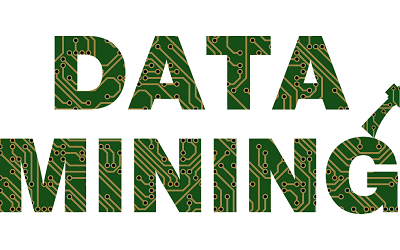 Some Enhancements in the Choice of Functionalities for Data Mining and Their Application in Opinion Mining