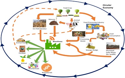 Refining Biomass Residues for Sustainable Energy and Bioproducts