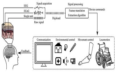 Bioelectrical Signal Fusion Analysis Based on Different Acquisition Devices by Inter Body Fusion Techniques