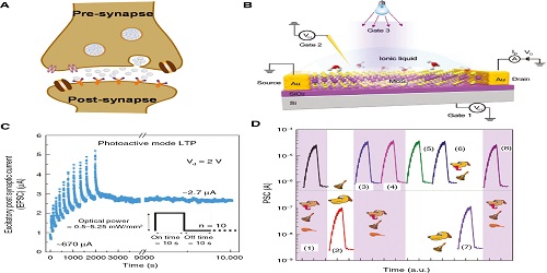 Signal Processing Nuclear Energy Science Implementation to Analyze and Recognize Speech Signals