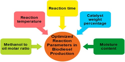Nanotechnology for Recyclable Environmental Catalysts to Create Biofuels Gas Based Power Generations from Butchery Residue