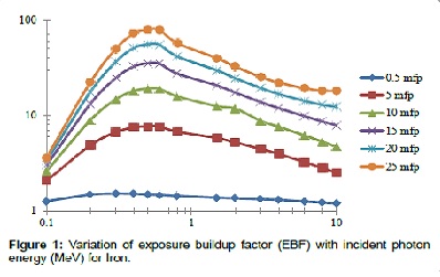 Estimation of Exposure Buildup Factor in Iron Using Different Methods: A Comparative Study