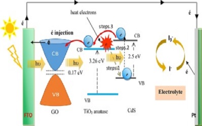 Genomic and Transcriptomic Resources with Solar Cells with Grapheme Quantum Dots