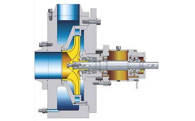 Bearing Pumps for Heavy Liquid Metals for Fast Reactors