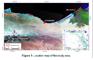 Environmental Hydrogeological Conditions of a Nuclear Power Plant Site in Egypt