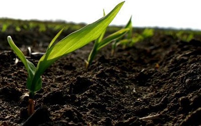 Assessment of Laboratory Performance Evaluation in Determining Al, Fe, and N Content on Some Soil Samples Based on Soil Analytical Method using Youden Plot and Ranking Test
