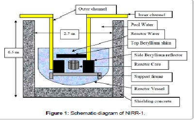Effect of Coolant Temperature on Core Power Behavior of a Miniature Neutron Source Reactor