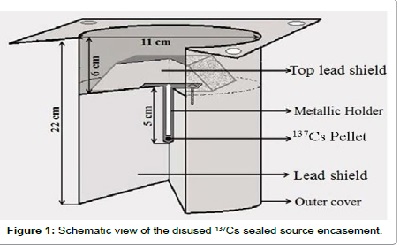 Recycling of a Disused 137Cs Sealed source