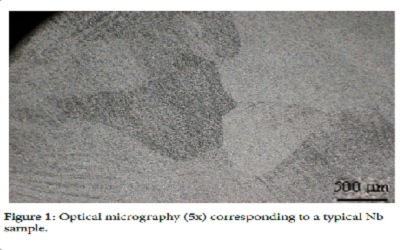 Measurement of U diffusion in Nb using alpha-Spectrometry