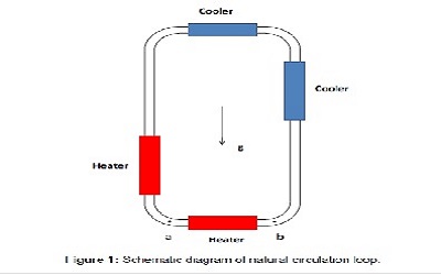 Investigation on Heat Transfer Behaviour of Molten Salt Natural Circulation Loop using Numerical Simulations