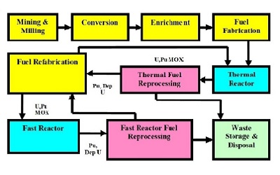 Proliferation Resistance and Safeguardability of Different Fuel Cycles