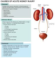 Novel Imaging Techniques in 
Acute Kidney Injury