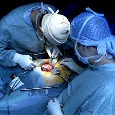 Transplant Kidney Biopsy for 
Kidney Transplantation