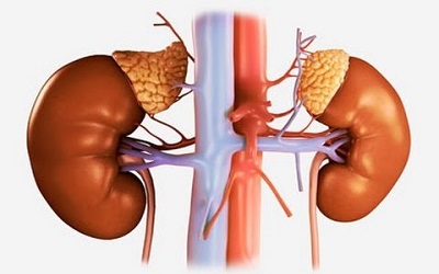 The Dynamics of Carnitine, Î³-butyrobetaine and Trimethylamine N-oxide in Diabetics and the Effects of Changes in Renal Function