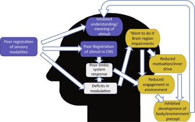 Humming Can Induce Auditory and Sensory Neurointegration in those with and without Autism Spectrum Disorder