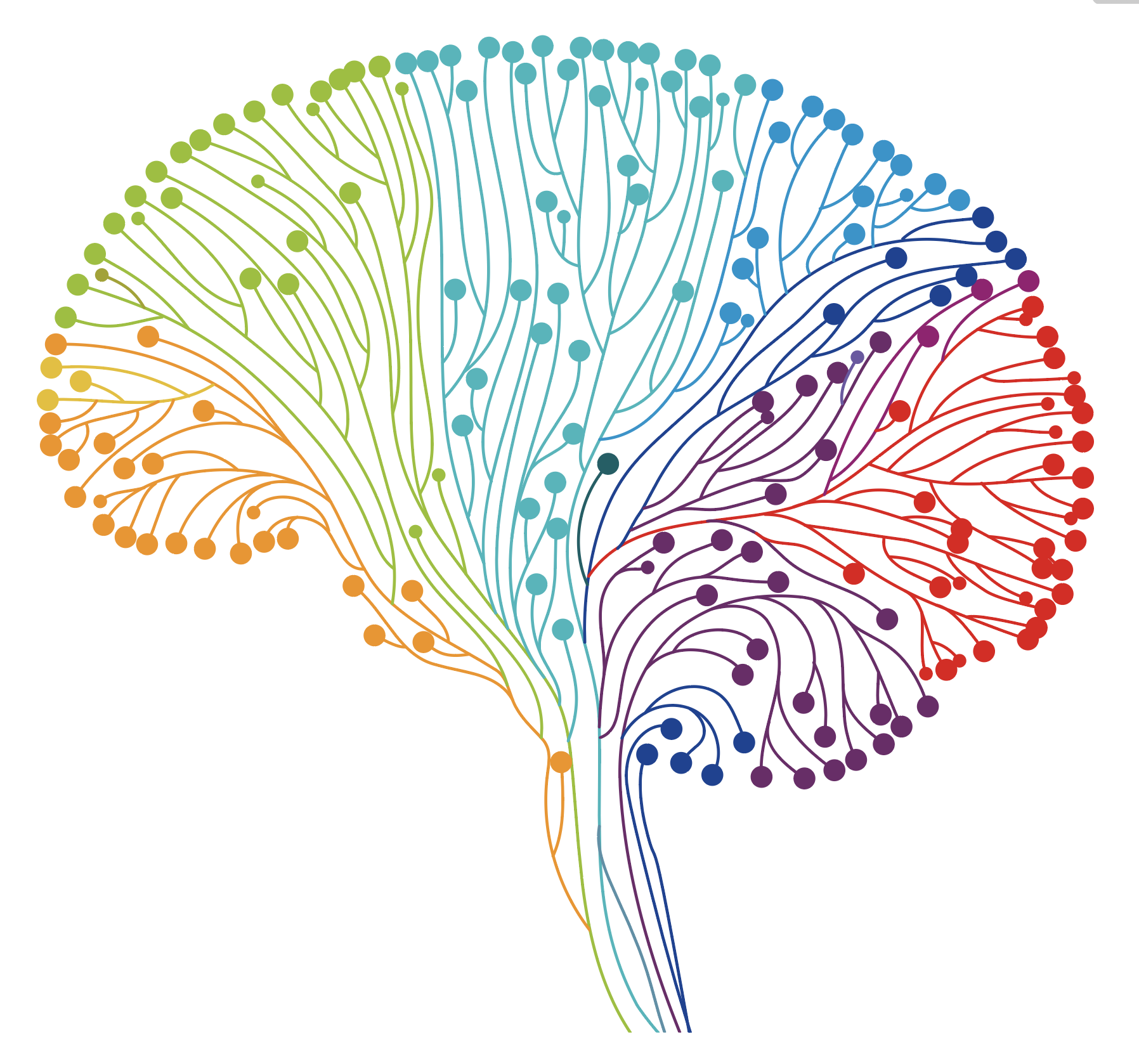 A Commentary on Cognitive & Behavioral Neuroscience