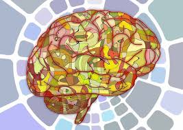 Molecular and cellular neuroscience explores the genes and proteins