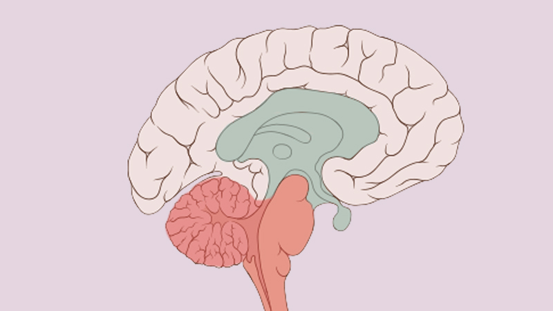 Impairment of Emotional expression detection