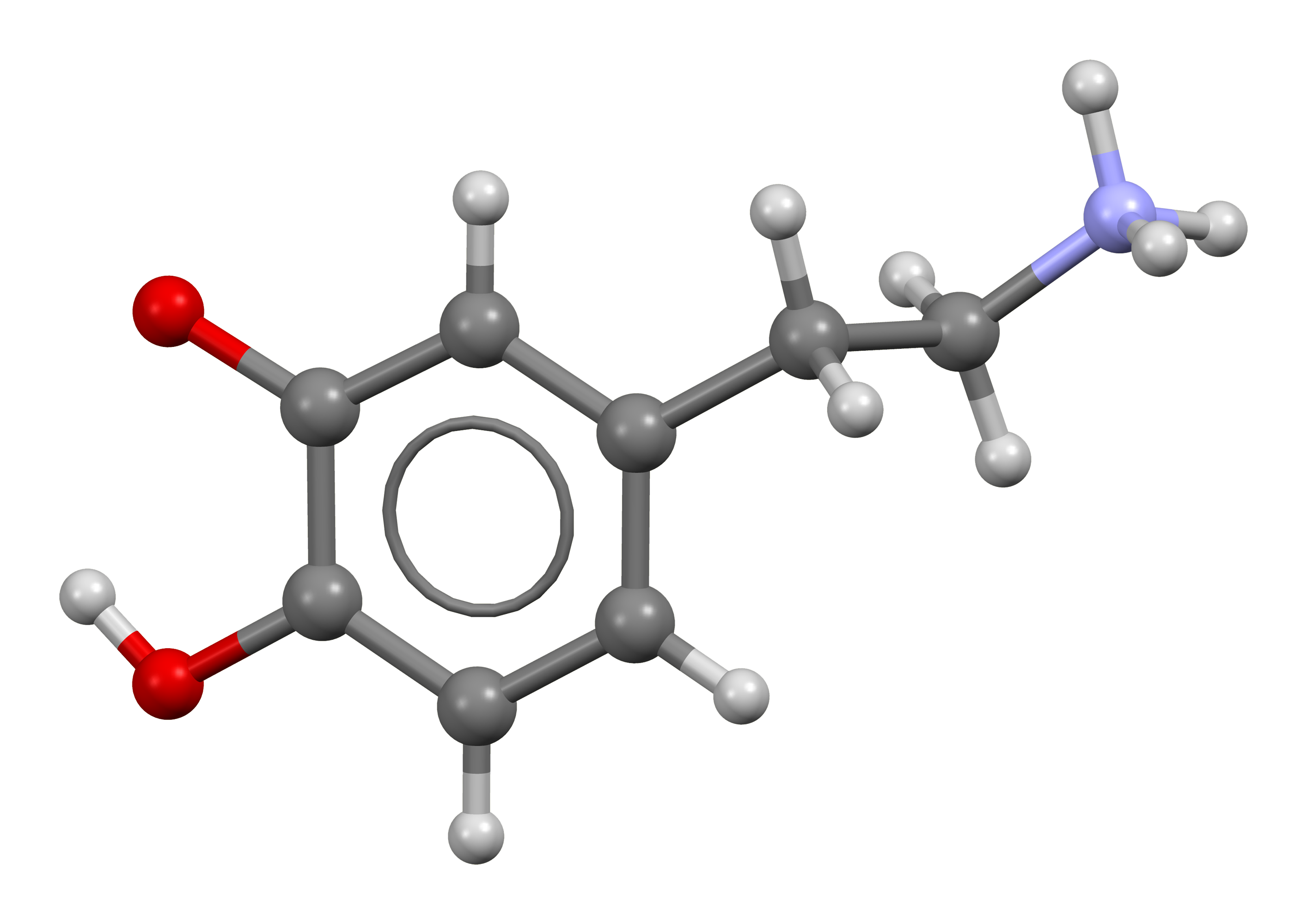 Pharmacological Elevation in Neuroscience