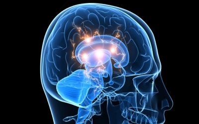 Reduction in Forebrain Parenchymal and Cortical Grey Matter Swelling across Treatment Groups in Patients with Inflammatory Illness Acquired Following Exposure to Water-Damaged Buildings