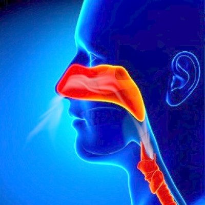 What is the Best Treatment of Coincidental Papillary Thyroid Micro Carcinoma?