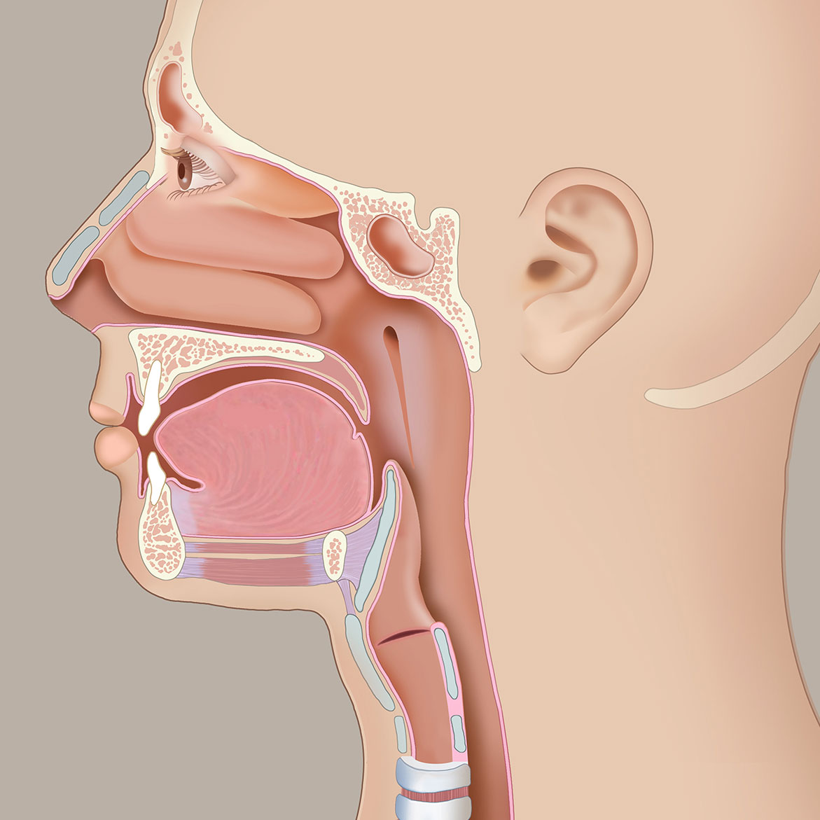 Langerhans Cell Histiocystosis of Temporal Bone: Case Reports