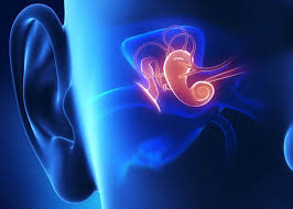 Past Conference Report of 5th European Otolaryngology ENTSurgery Conference