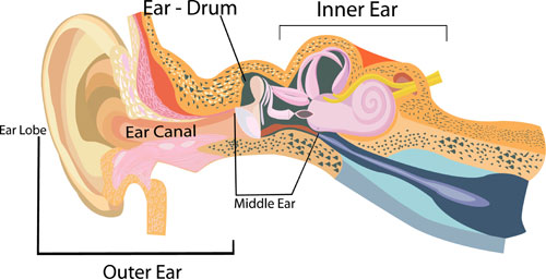 Hearing Loss and Equilibrium Problem in People