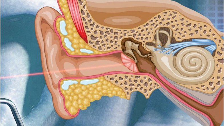 Treatment of Rhinosinusitis and Histopathology of Nasal Mucosa: A Controlled, Randomized, Clinical Review