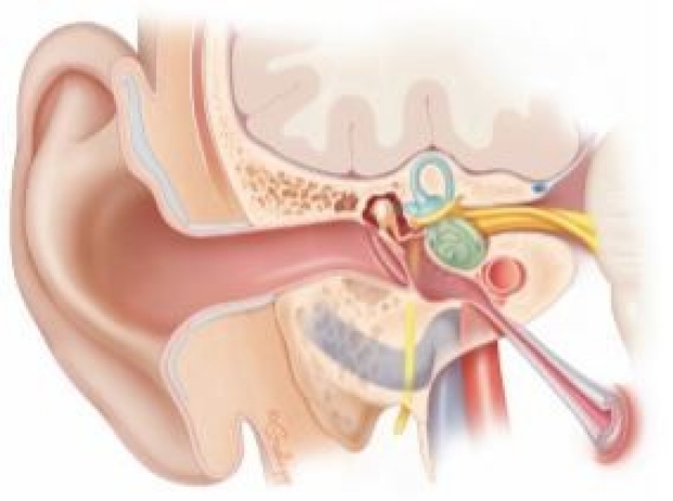 What is the Ideal Age to Fix Tympanic Layer Holes in Pediatric Patients?