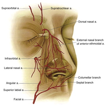 Precise Electrode Insertion Depth and Speech Perception in Adults with a Cochlear Implant: A Systematic Review